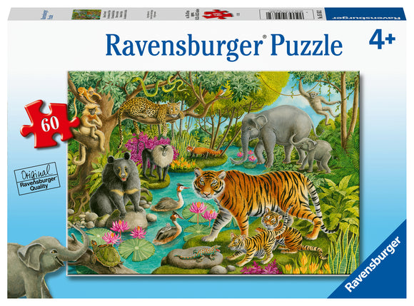 Animals Of India - 60 Piece Puzzle