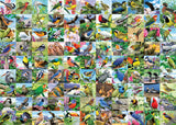 99 Delightful Birds - 300 Piece Puzzle Large Format Pieces