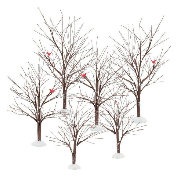 Bare Branch Tree - Set of 6