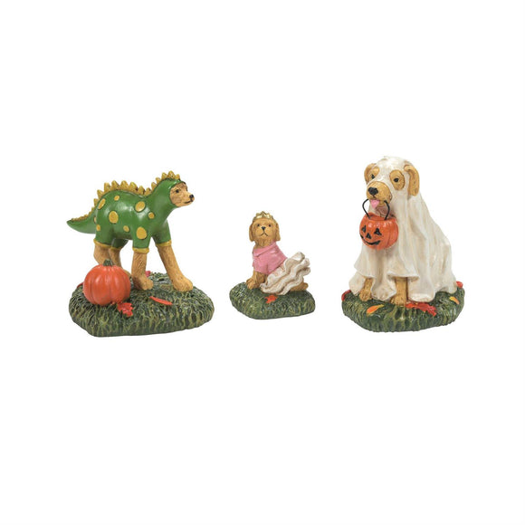 Family Of Halloween Pets - Set of 3