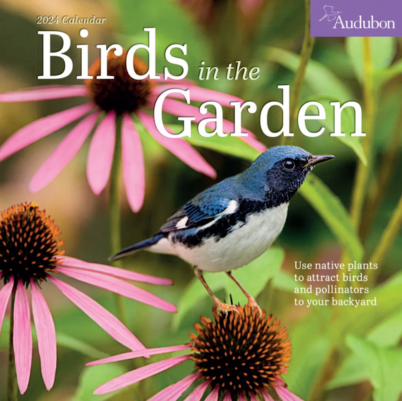 Audubon Birds in the Garden - 2024 Wall Calendar