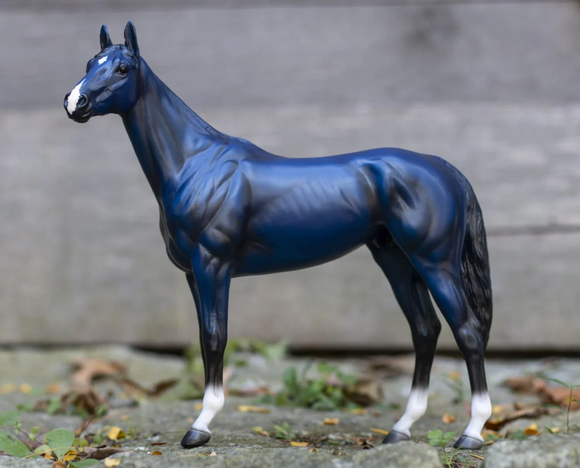 Big Lex - Decorator Thoroughbred