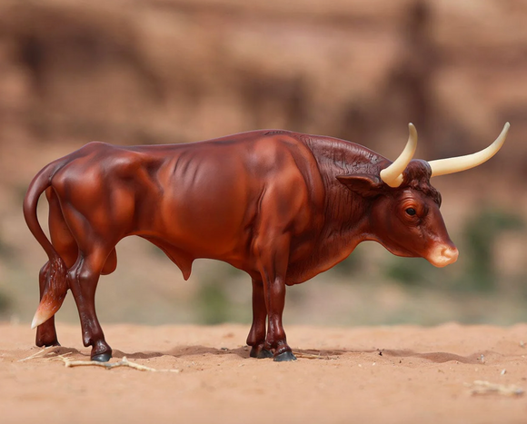 Bull Texas Longhorn