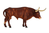 Bull Texas Longhorn