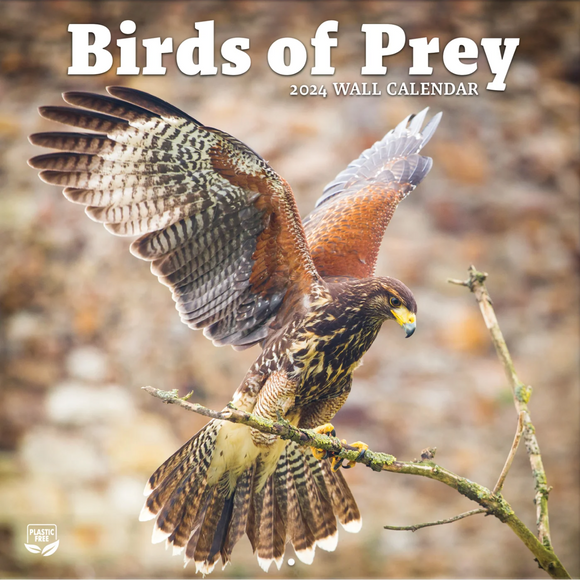 Birds of Prey - 2023 Wall Calendar