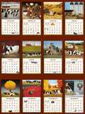 Cows Cows Cows - 2024 Wall Calendar