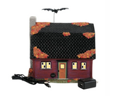 The Vampire House