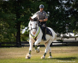 Hytyme Legend - KHP Mounted Police Horse