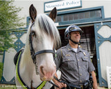 Hytyme Legend - KHP Mounted Police Horse