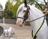 Hytyme Legend - KHP Mounted Police Horse