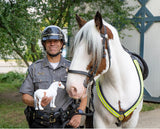 Hytyme Legend - KHP Mounted Police Horse