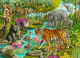 Animals Of India - 60 Piece Puzzle