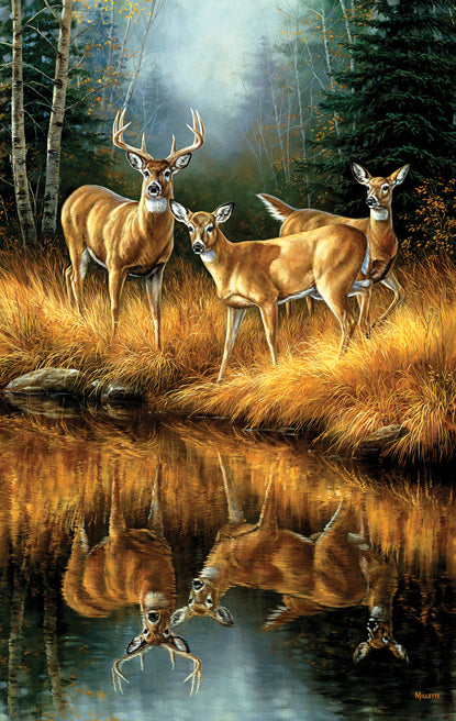 Whitetail Reflections 550 Piece Puzzle