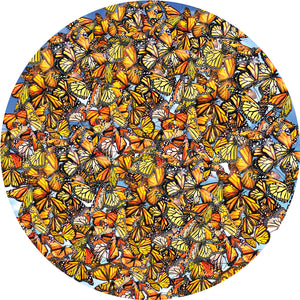 Monarch Frenzy 1000 Piece Puzzle