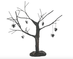 Spider Tree