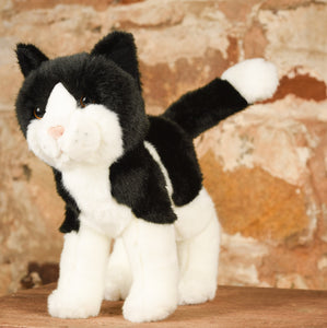 Douglas - Scooter Black & White Cat