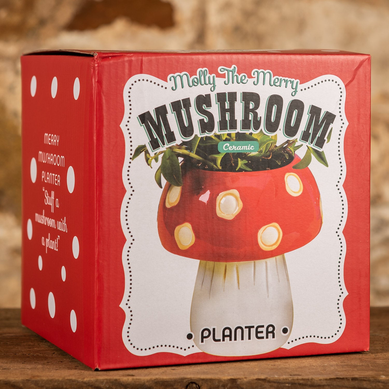 merry mushroom hanging planter Molly The Merry Mushroom