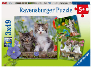 Cuddly Kittens 3 x 49 Piece Puzzle