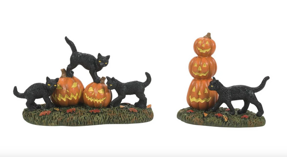 Scary Cats and Pumpkins - Set of 2