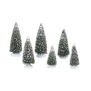 Frosted Pine Grove, Set of 6