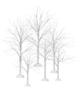 Village Winter Birch Trees - Set of 6